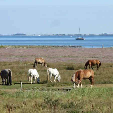 Haus Achterhus 214 - 14 