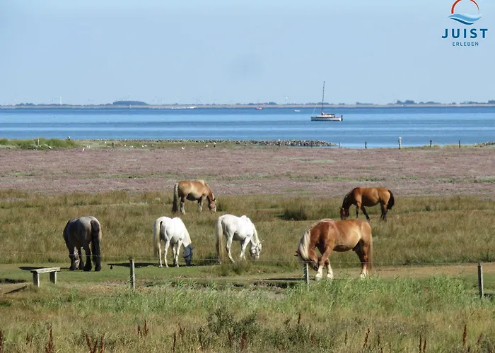 Haus Achterhus 214 - 14 